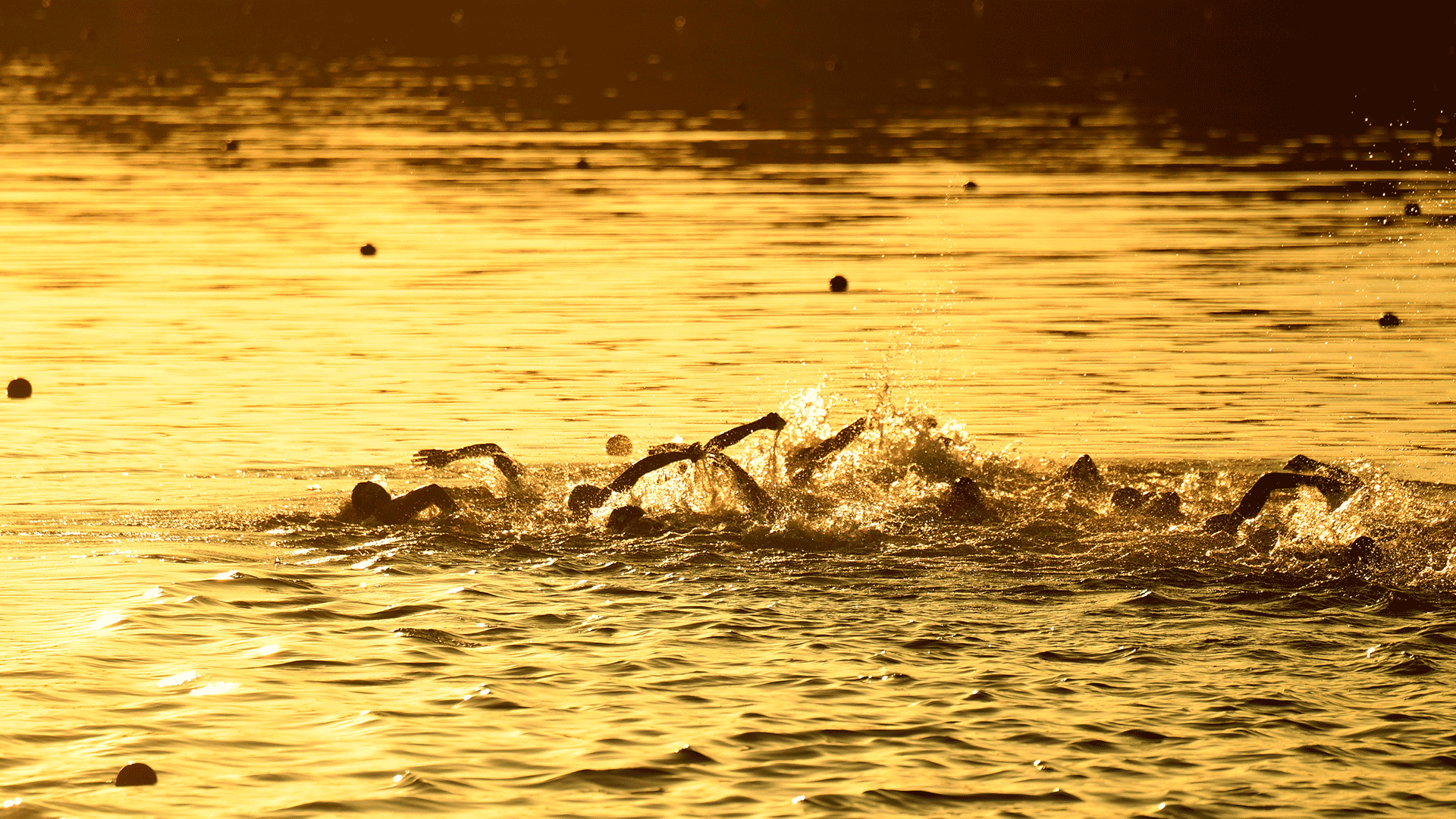 Ironman 70 3 western sydney races multisport australia