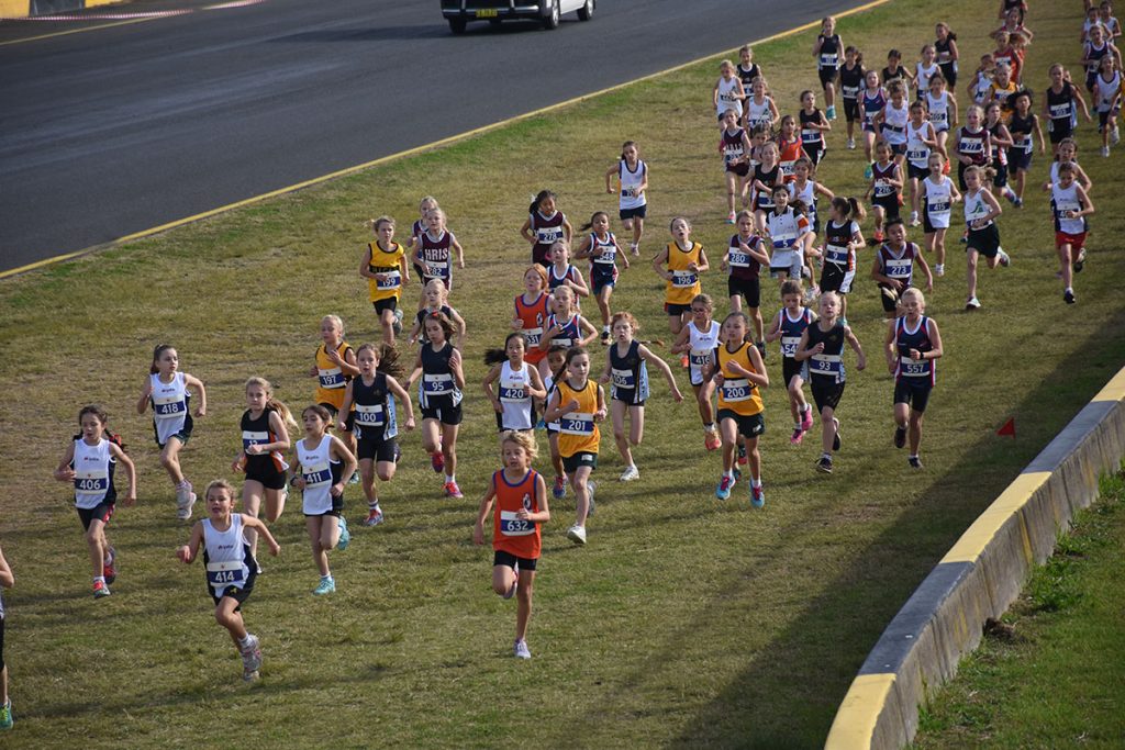 Primary 11 Girls NSW CIS Cross Country Championships (2022) SportSplits