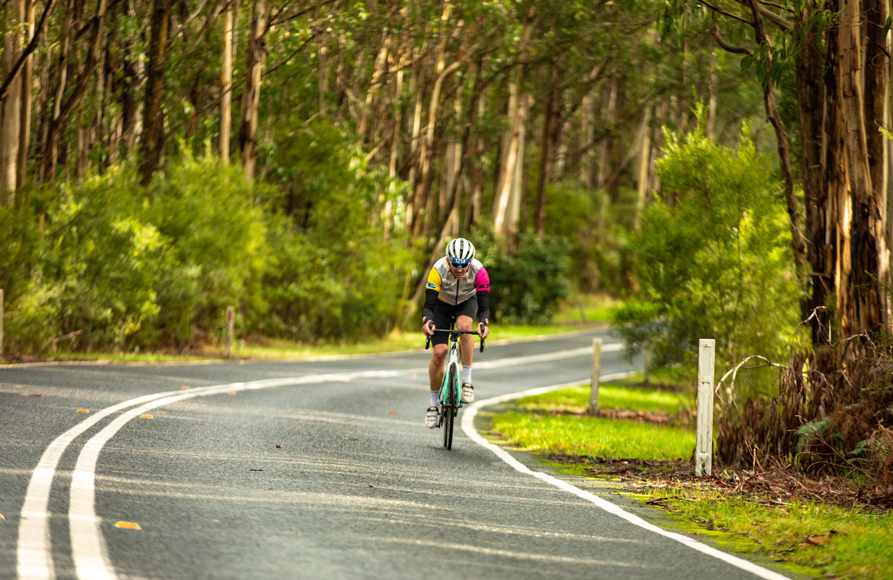 Recreational 60km Ride - Great Ocean & Otway Classic Ride (2023 ...