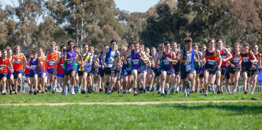 Primary 11 Boys CSSA Cross Country (2024) MultiSport Australia