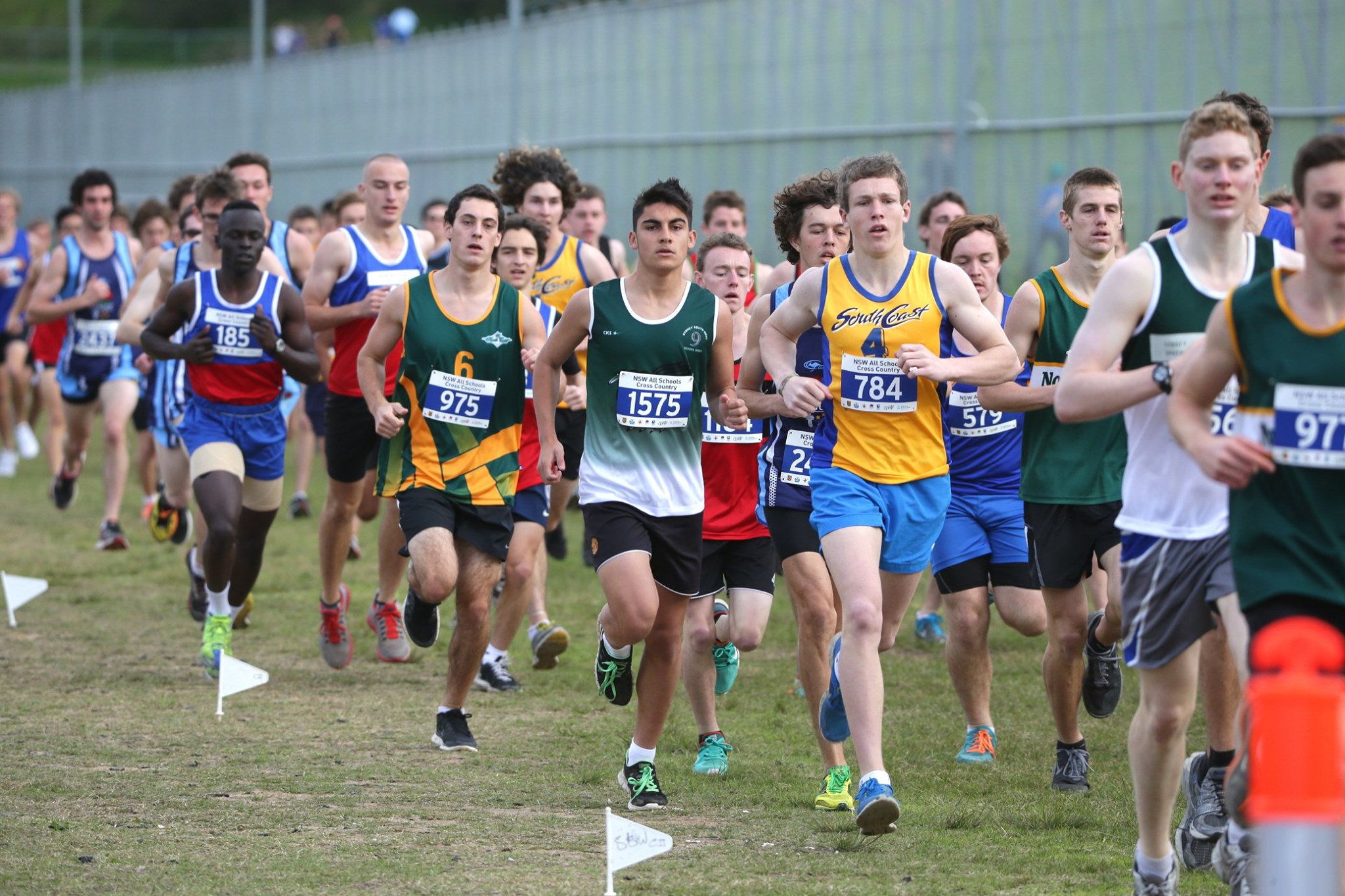 Primary 12/13 Years Boys NSW Cross Country Championships (2024