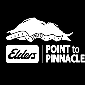 Point to Pinnacle Logo